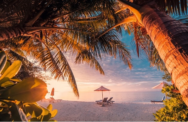 Carte AIR FRANCE KLM - AMERICAN EXPRESS